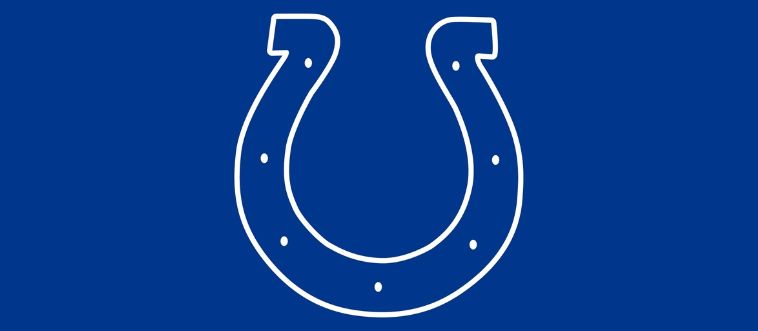 Which NFL franchise claims this vintage emblem?